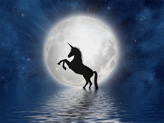 unicorn in moon