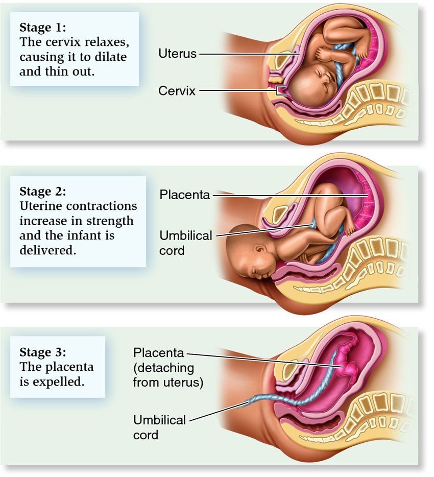 Cervical uterine orgasm