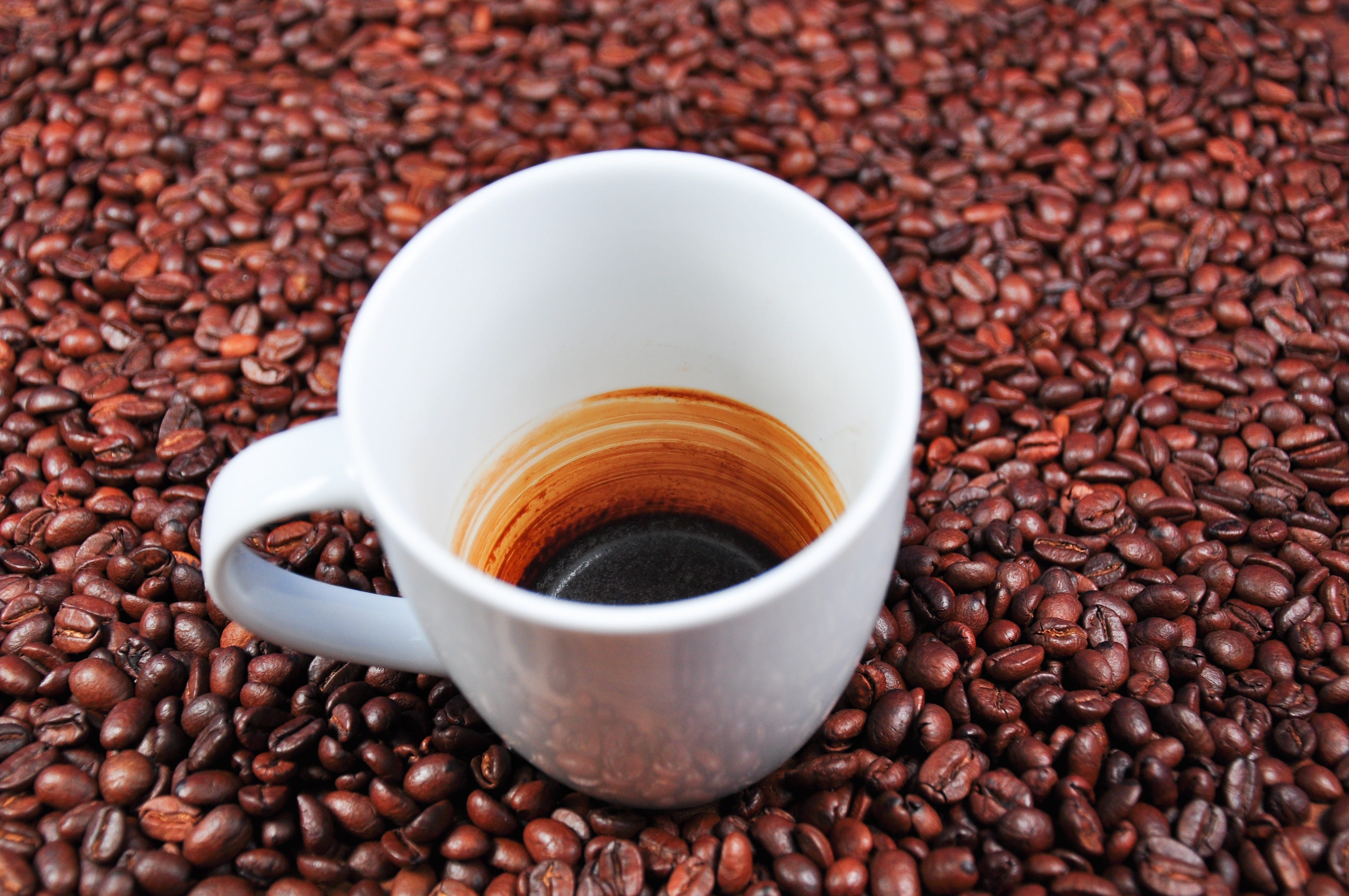 How I Quit Coffee After 15 Years Of Daily Consumption | by Angelo Belardi | Better Humans