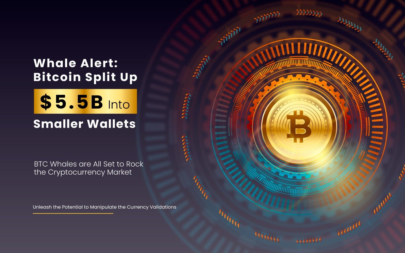 Whale Alert: Bitcoin Split Up $5.5B Into Smaller Wallets | by Successive  Digital | Medium