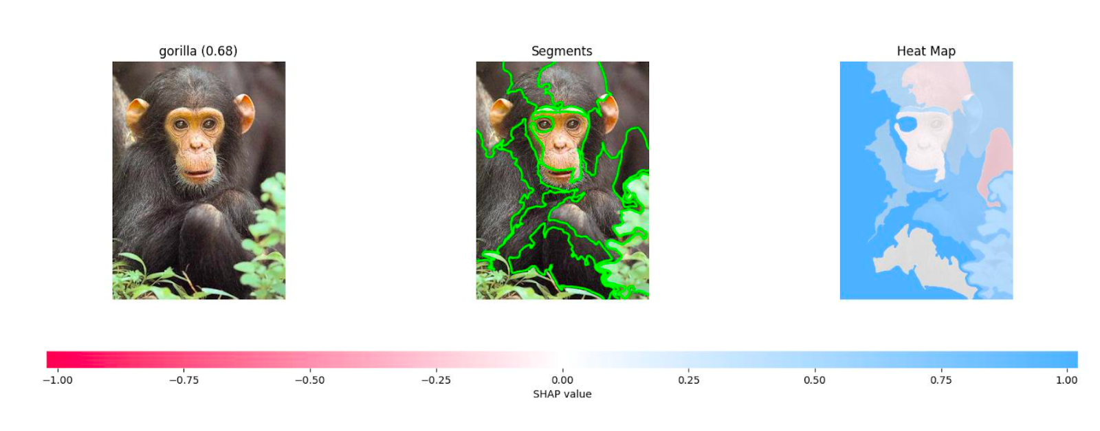 Figure 4 shows an image that was classified as a gorilla. The heatmap on the far right has some pink and red areas, which are the segments that decrease the confidence score.