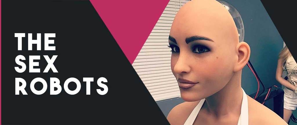 Sex Dolls VS Sex Robots. Sex dolls or sex robots? That's a tough | by  sexdoll house | Medium