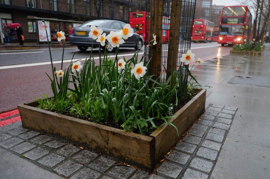 The Urbanite's Guide to Guerrilla Gardening | by Kate Wilson | Medium