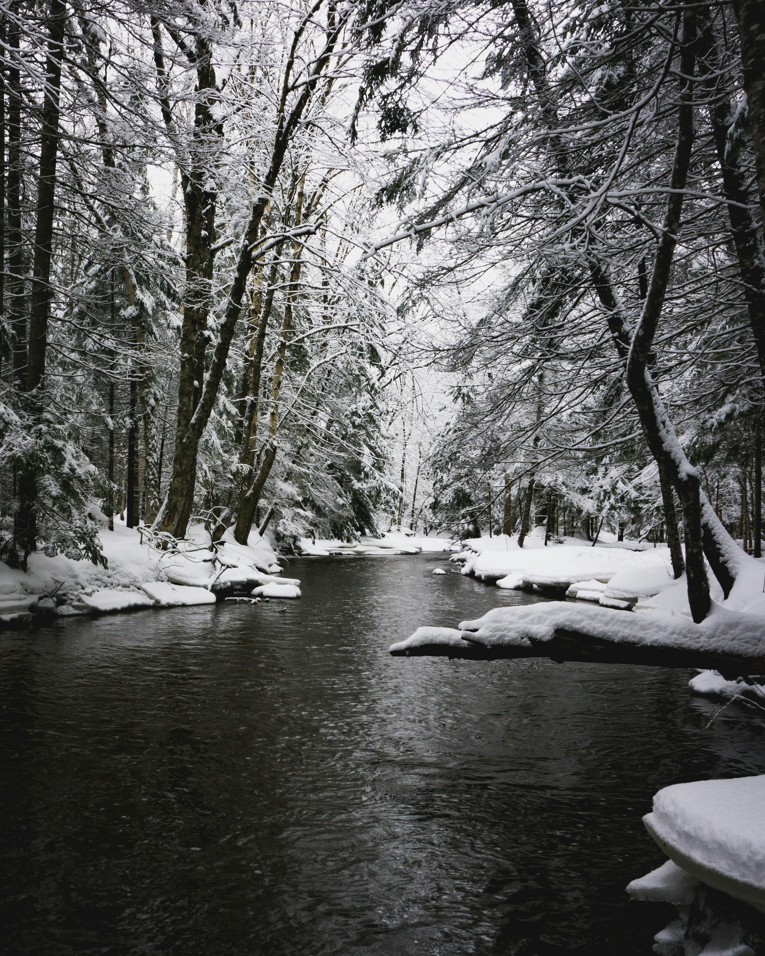 First Snowfall Of The Season. First snowfall marks the first