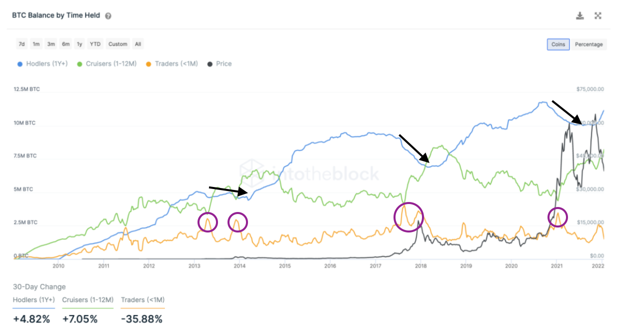 A Deep Dive Into Crypto-Asset Ownership | by Lucas Outumuro | Sentora |  Medium