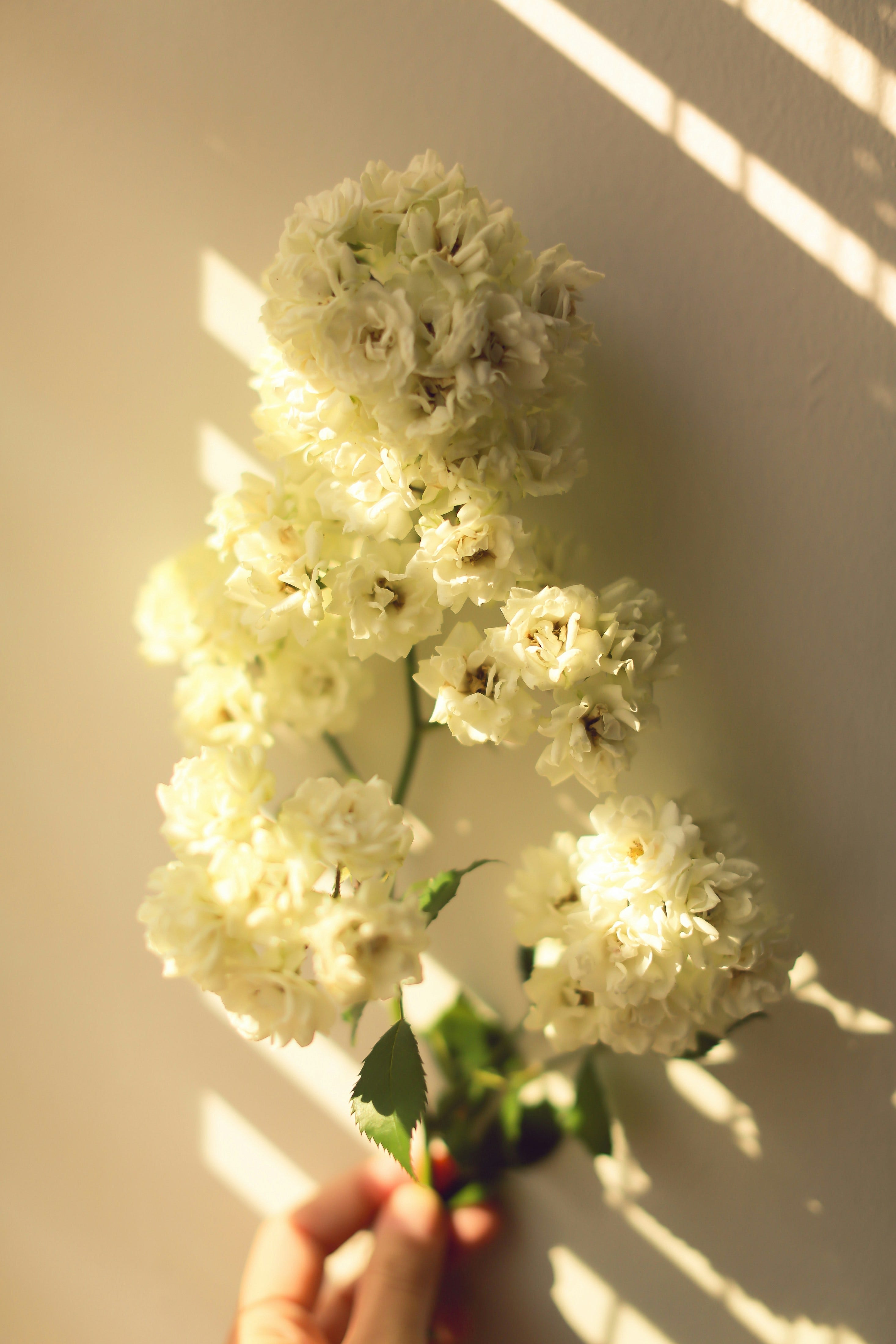 Photo by Ava Sol on Unsplash