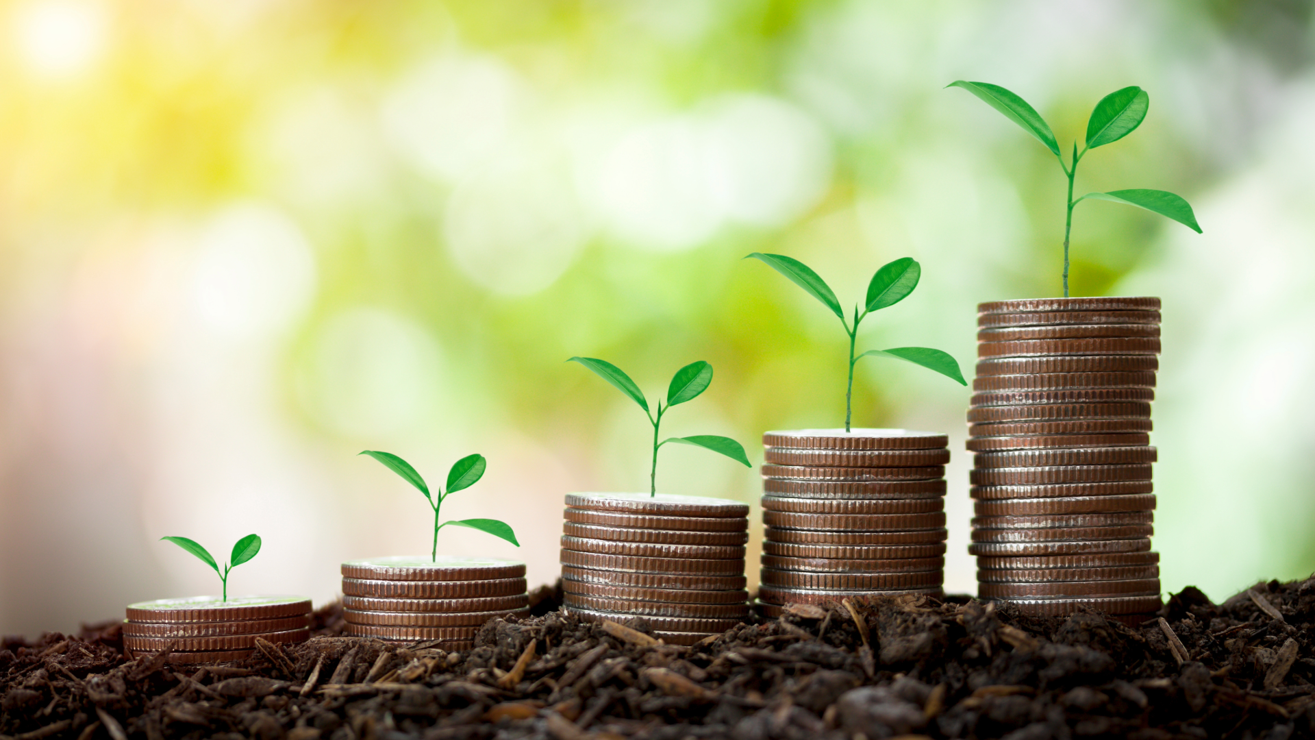 Why the Environment Must Be Part of Economic Metrics | by Silvia  Pineda-Munoz, PhD - Climate Ages | The New Climate. | Medium, image size:1920x1080