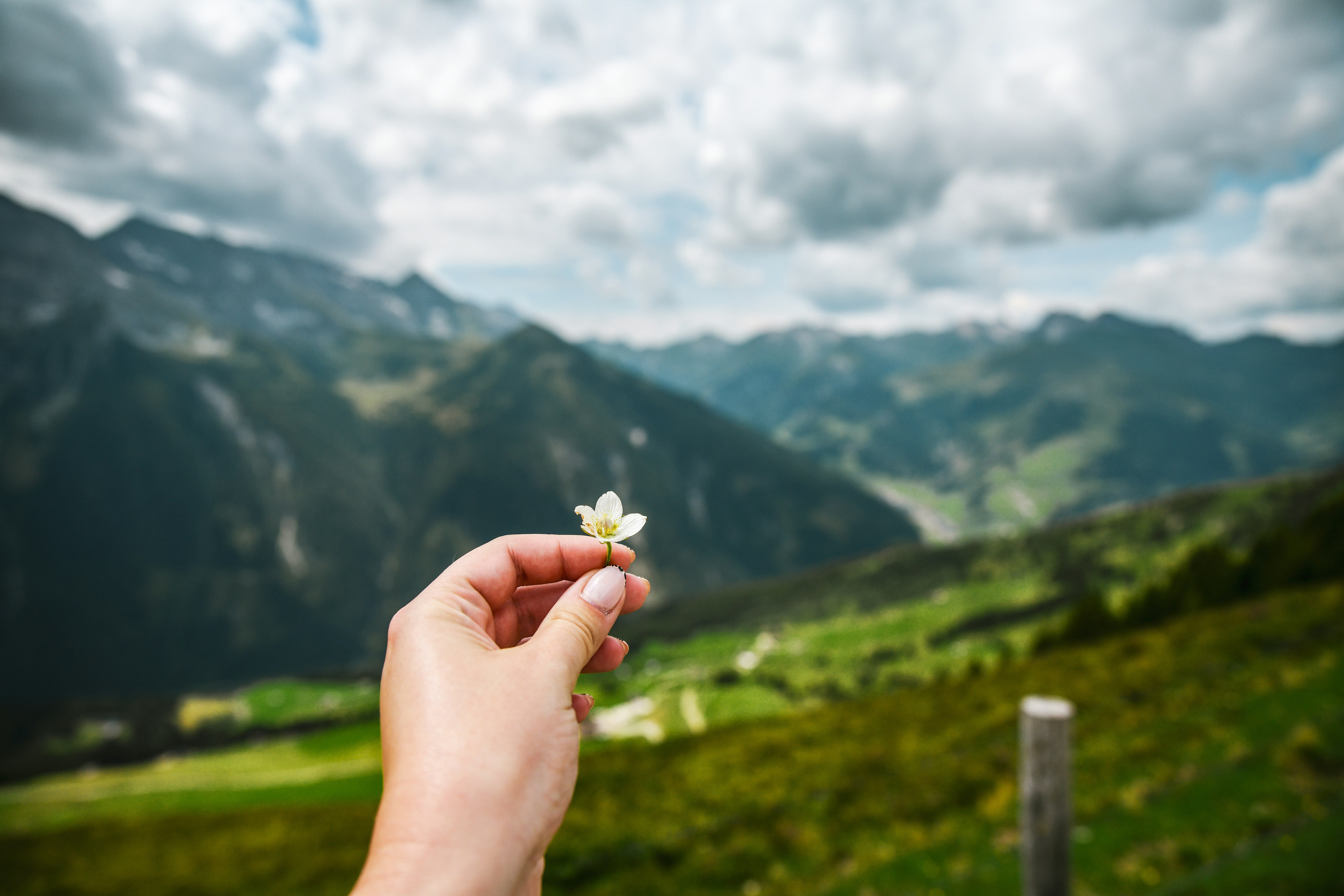 Photo by Natalia Marcelewicz on Unsplash