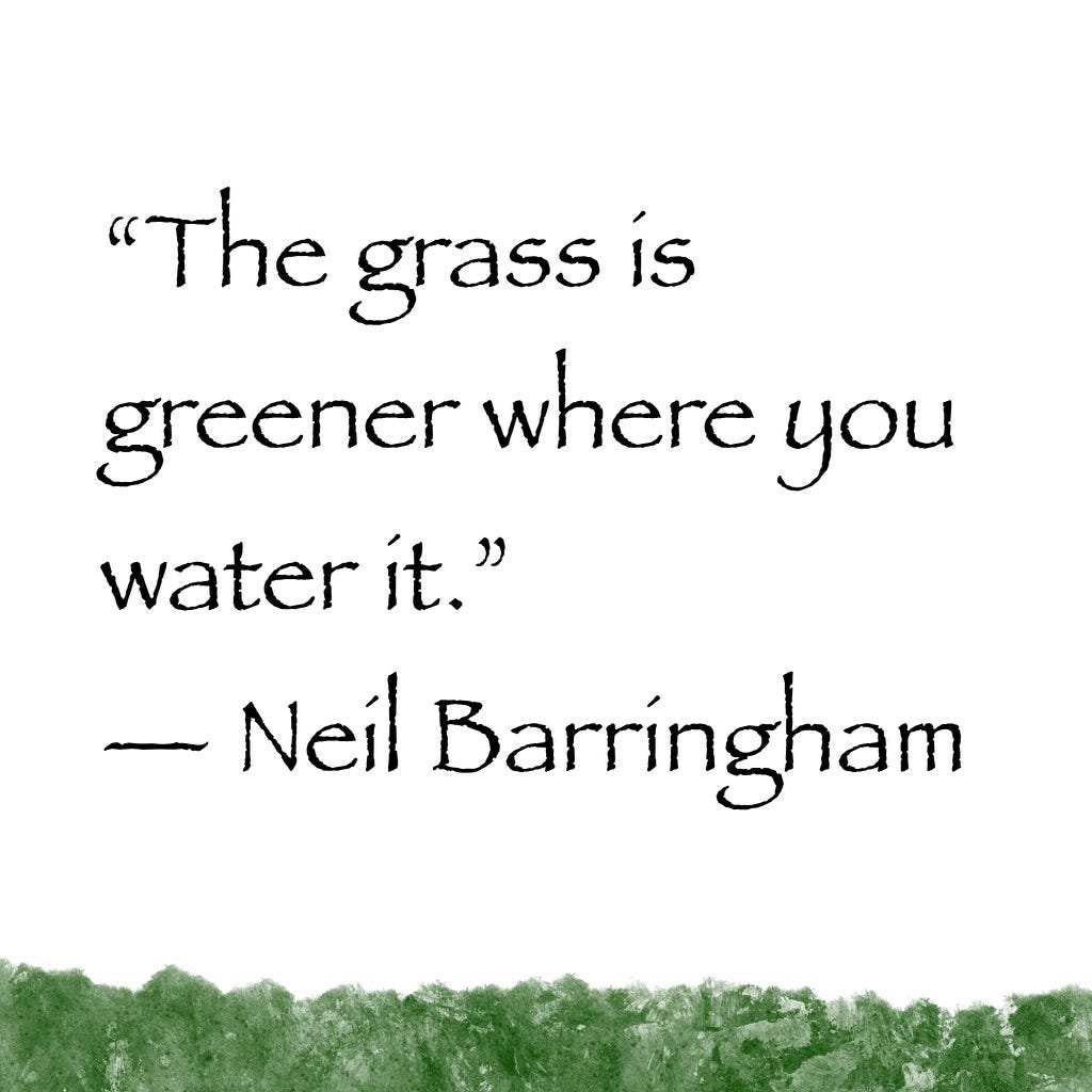 Neil Barringham Quotes Inspirational Quotes Normalize Greatness