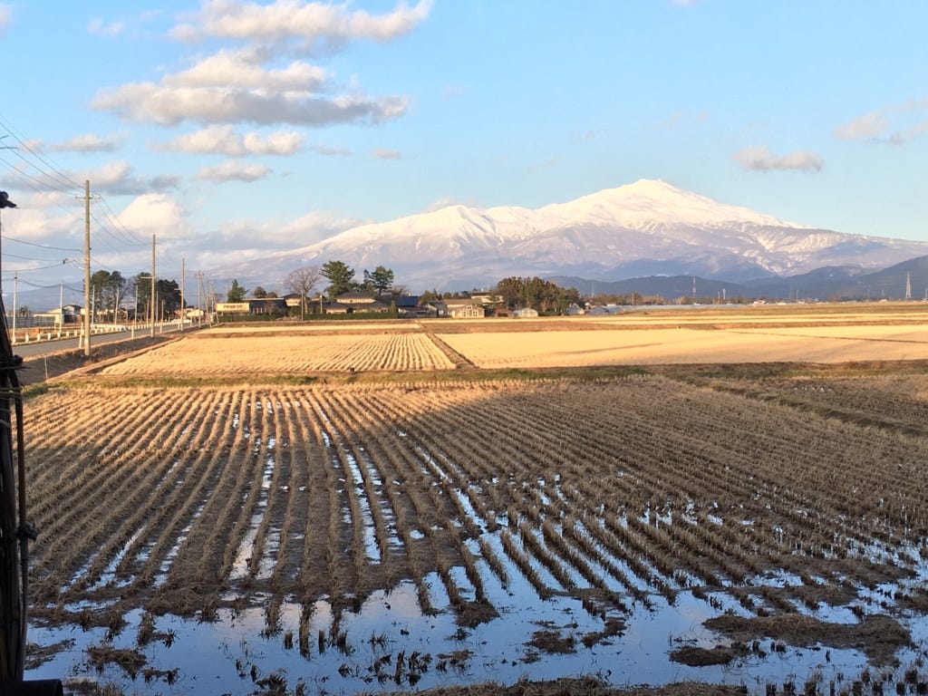 Sakata city in winter, the west coast of Japan: wonderful local