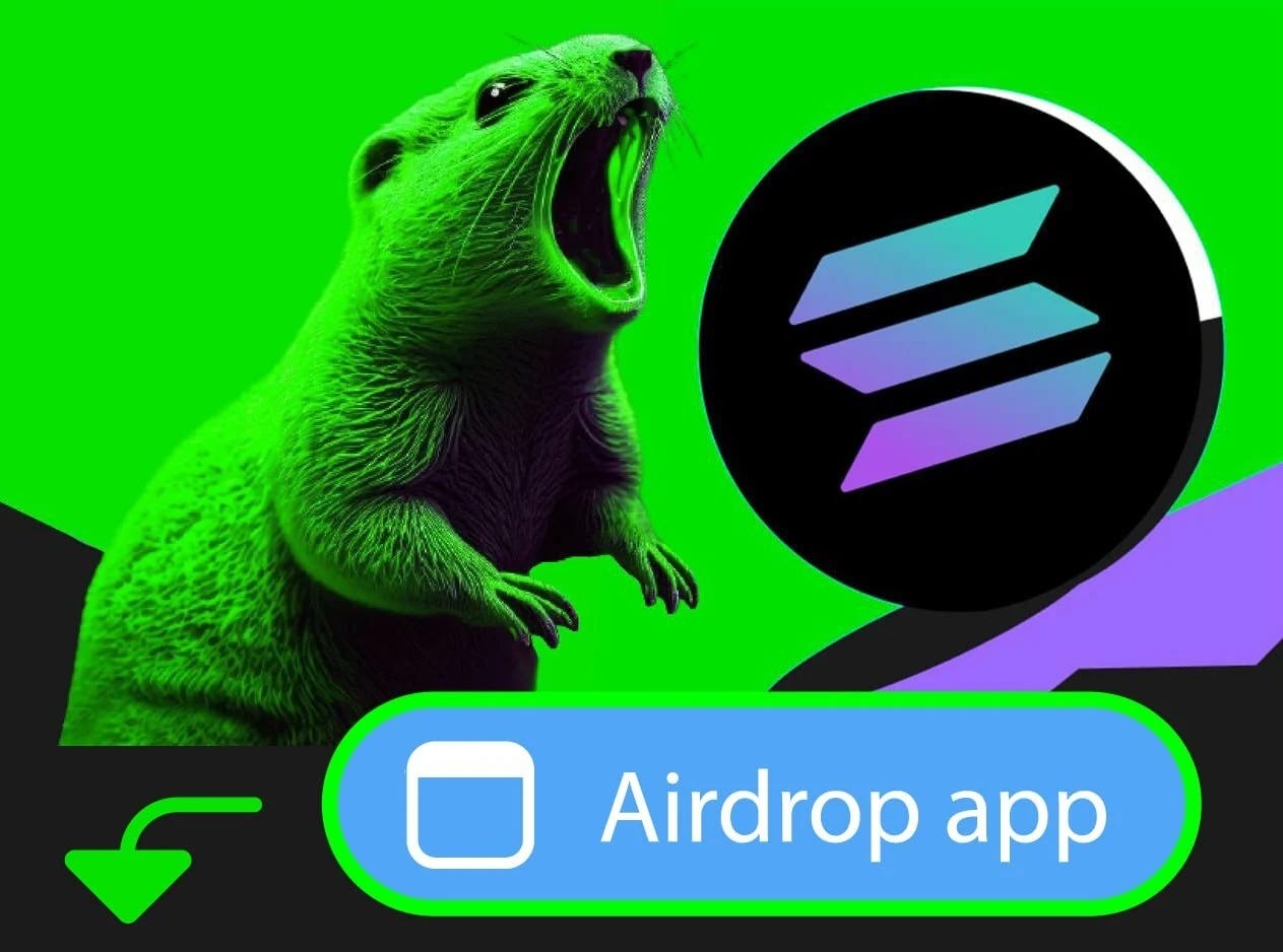 BOBAK is the first Solana Telegram game where you have to shout | by Ihor  R. | Medium