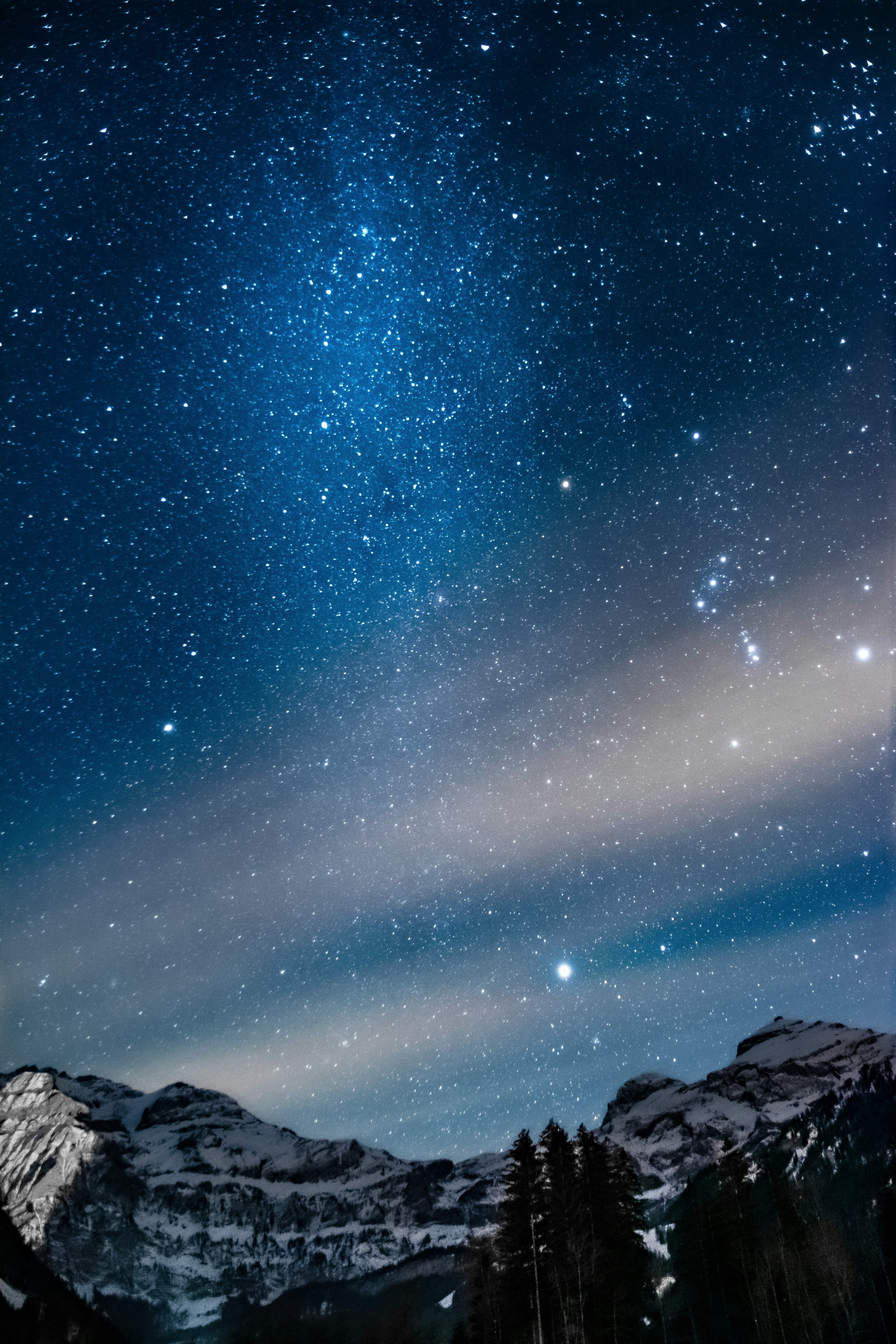 Photo by Dario Brönnimann on Unsplash