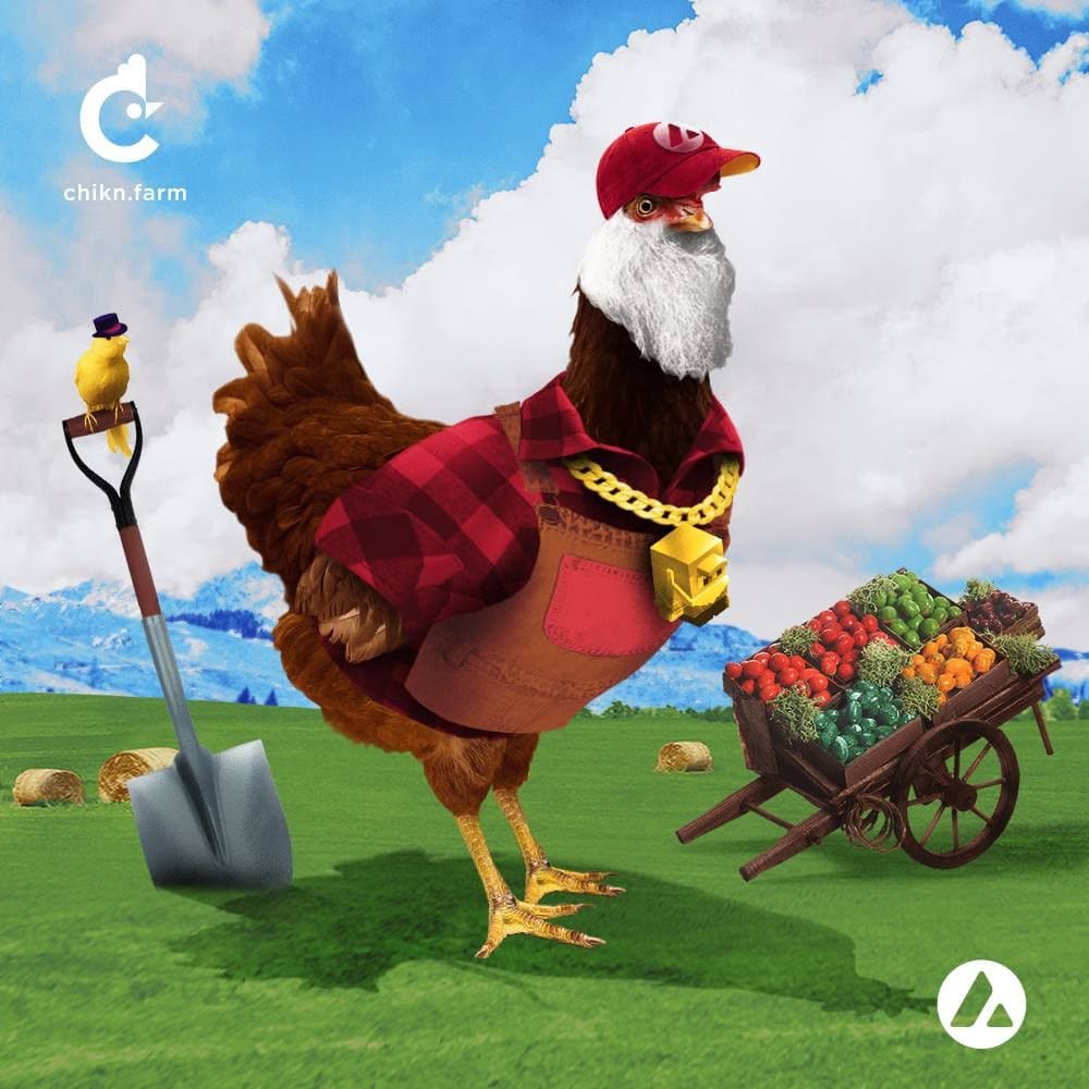 A guide to playing with your coq for fun and profit. | by OneThird Nerd |  Medium