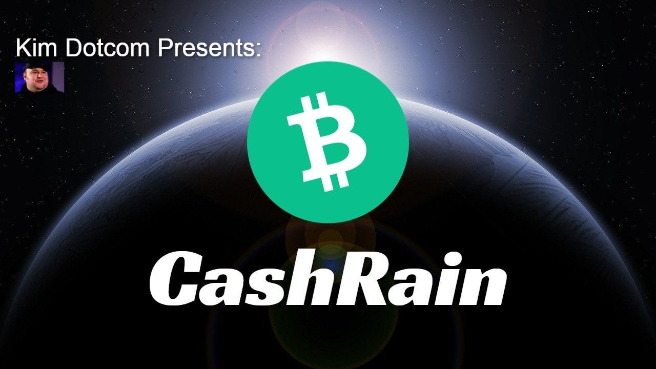 CASHRAIN: A Unique Platform To Benefit Online Communities | by Pantera |  The Crypto Kiosk | Medium