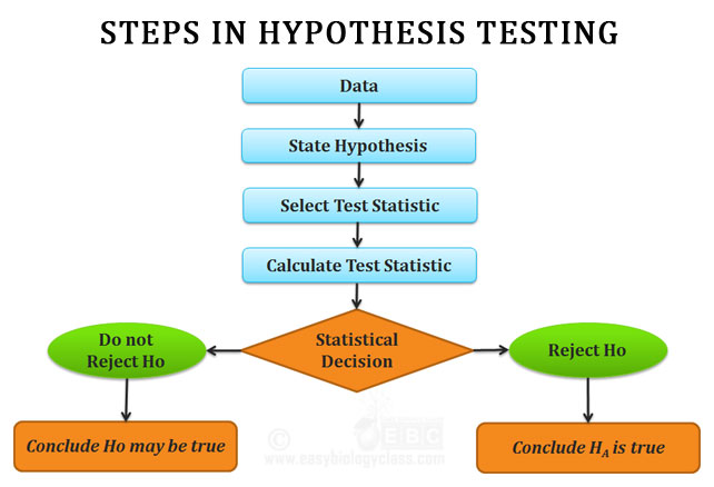 Hypothesis Testing Flow Chart The Portable Professor Math Stuff