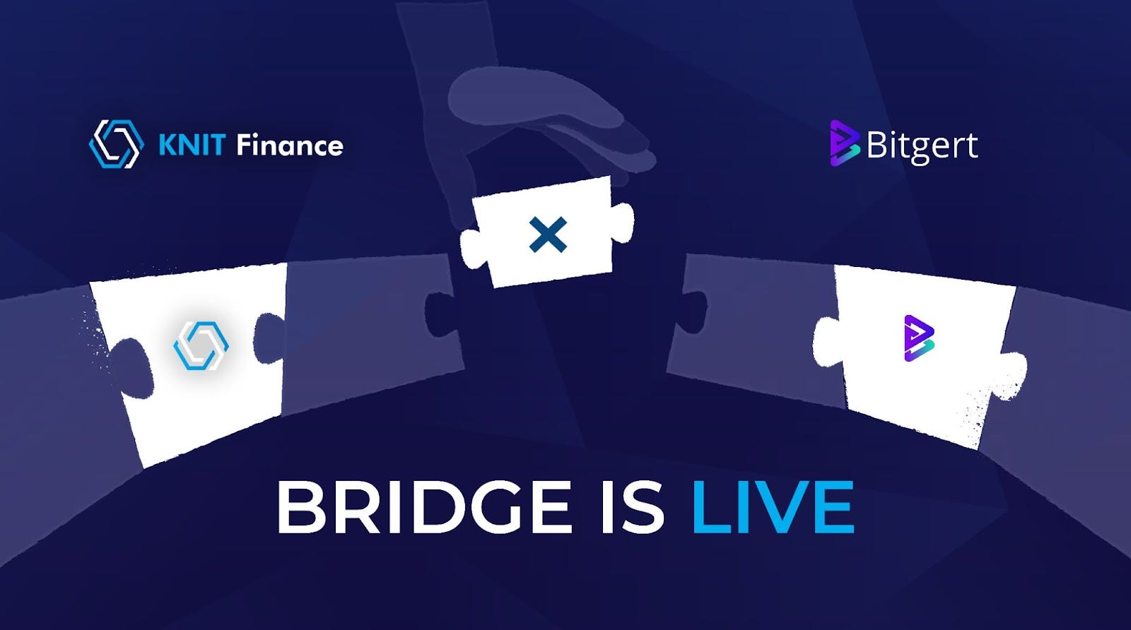 Bitgert Chain Bridge is Live on Knit Finance dApp | by Knit.Finance | Medium