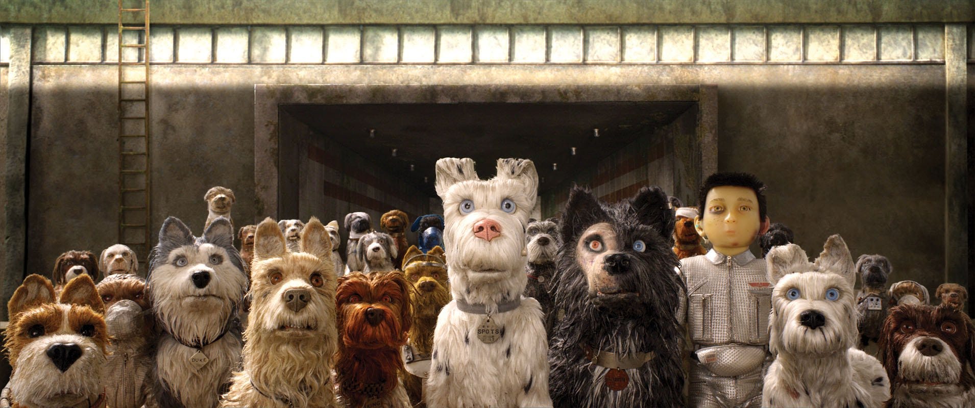 Ilha de Cachorros (2018). (Esse texto conterá spoilers — todo… | by Miguel  Serpa | Medium, image size:1910x800