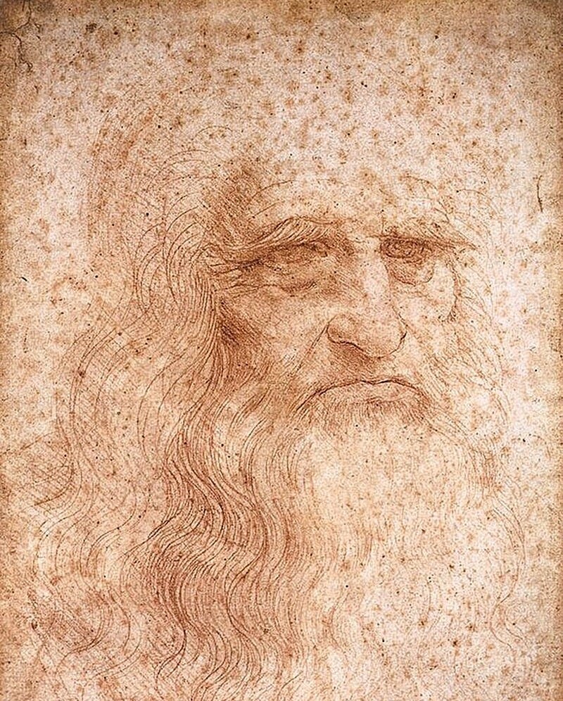 What Does Leonardo Da Vinci Learn by Watching Birds: Inspiring Flight Secrets