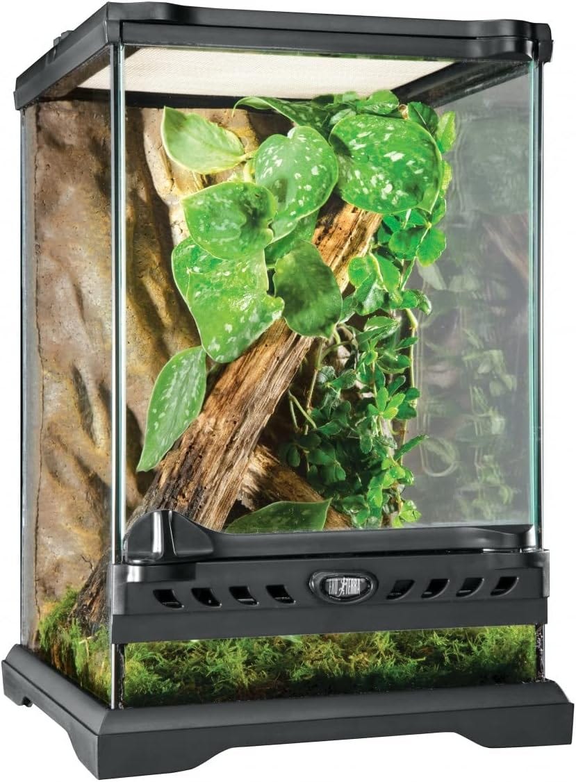 レイアウト用品 EXO TERRA GLASS TERRARIUM 4630 Exo Terra Glass Natural Terrarium Nano/Tall - 8in x 8in x 12in