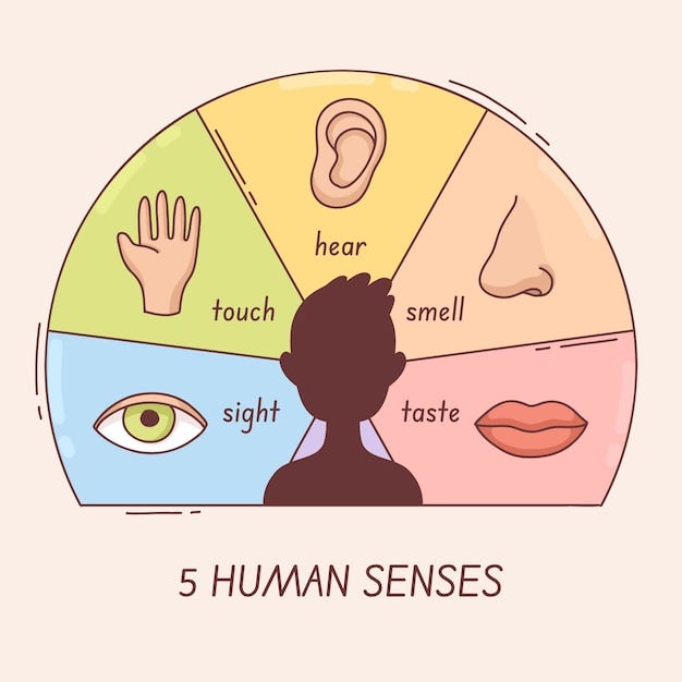 brand identity visualization showing emotional signature elements across different customer touchpoints