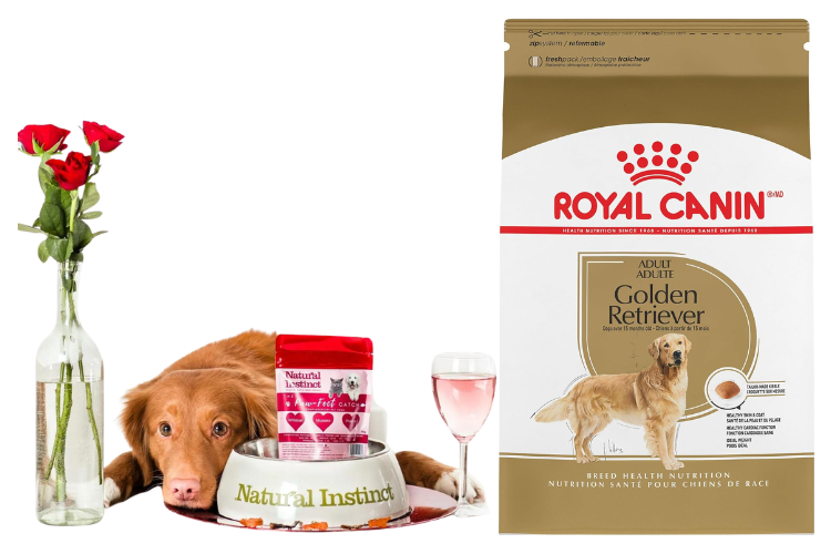 Understanding Royal Canin Golden Retriever Adult Dry Dog Food | by