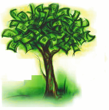 Money does not grow on trees. But Step just closed a $22.5M Series A | by  CJ MacDonald | Medium