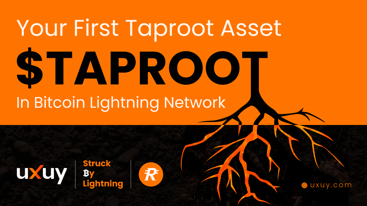 UXUY Announces Full Access to Taproot Assets on the Bitcoin Network | by  UXUY | UXUY Blog