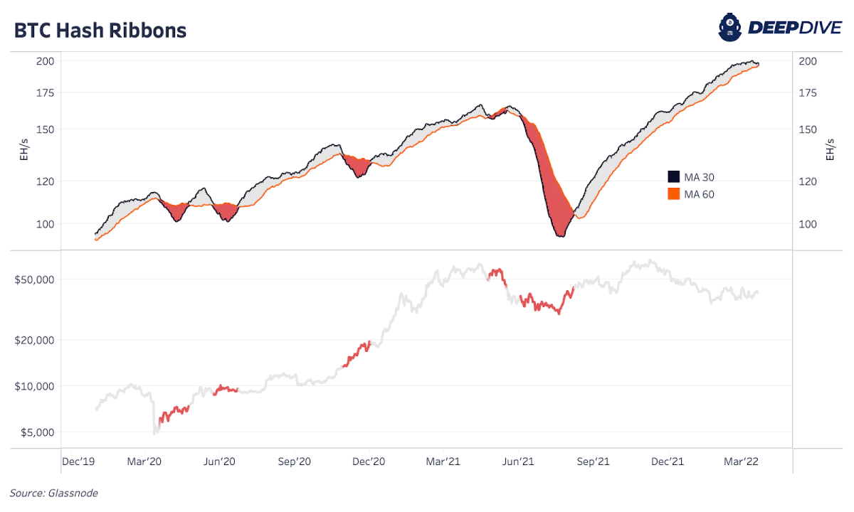 Understanding the Hash Ribbon Indicator : A Powerful Key and Tool for Your  Trading Management | by Trading & Investment Strategies | Medium