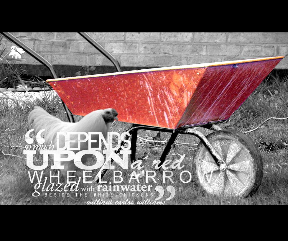 What is the Poem the Red Wheelbarrow About: Unveiling Its Meaning