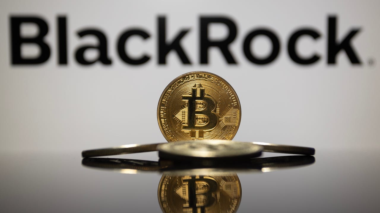 BLACKROCK NOW RECOMMENDS 2% BITCOIN IN YOUR PORTFOLIO!! | by Abhaya Anil |  Write A Catalyst | Medium