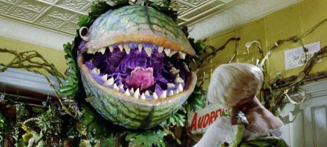 Are Man-Eating Piranha Plants Real? Testing Reveals a Disgustingly  Surprising Outcome! | by Grace Michelle | Write A Catalyst | Medium