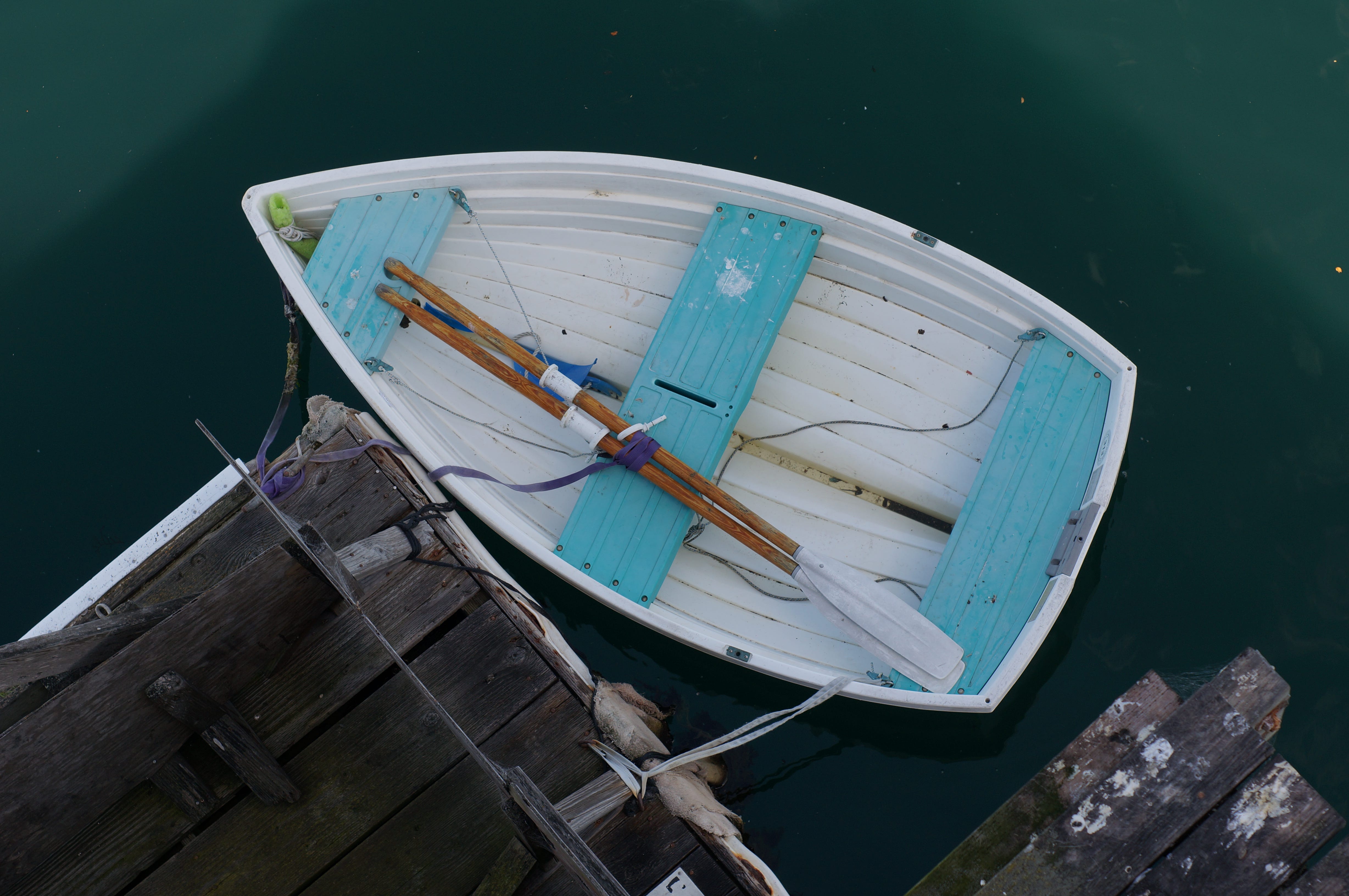 Re-Launching After a Long Institutional Career | by Brian Gallagher | Medium, image size:4912x3264