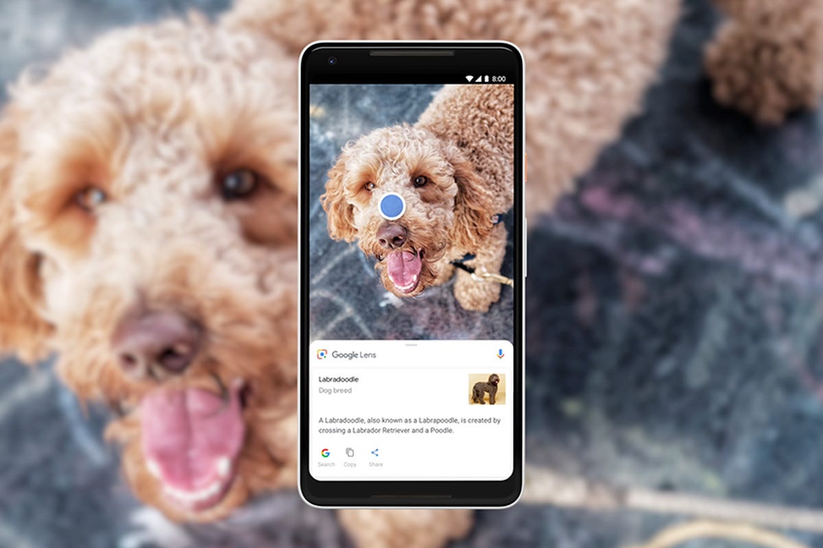 Image Search Techniques Uses In 2026 9 XR Evaluation #2: Google Lens. Google Lens on Android & IOS | by Peter Chang | Medium