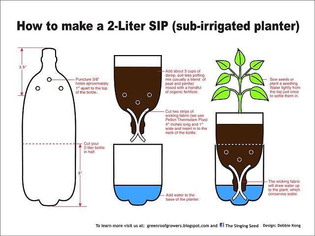 Green Innovations: Crafting a Self-Watering Planter from a 2-Liter Bottle |  by Julian Vento | Medium