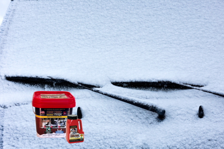 Does Cat Litter Melt Ice: Surprising Truths Revealed