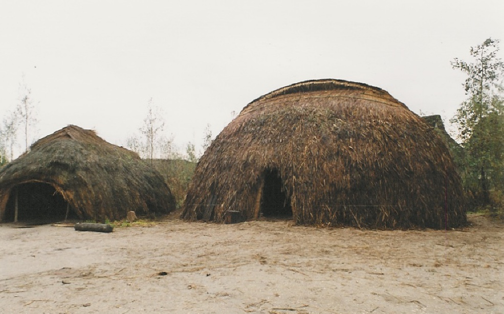 Neolithic Revolution Shelter