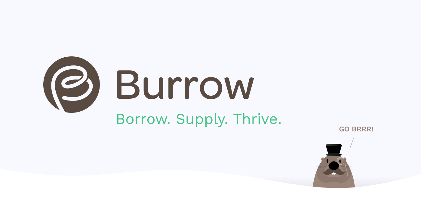 NEAR Spotlight #2: Burrow Finance | The Crypto Kiosk