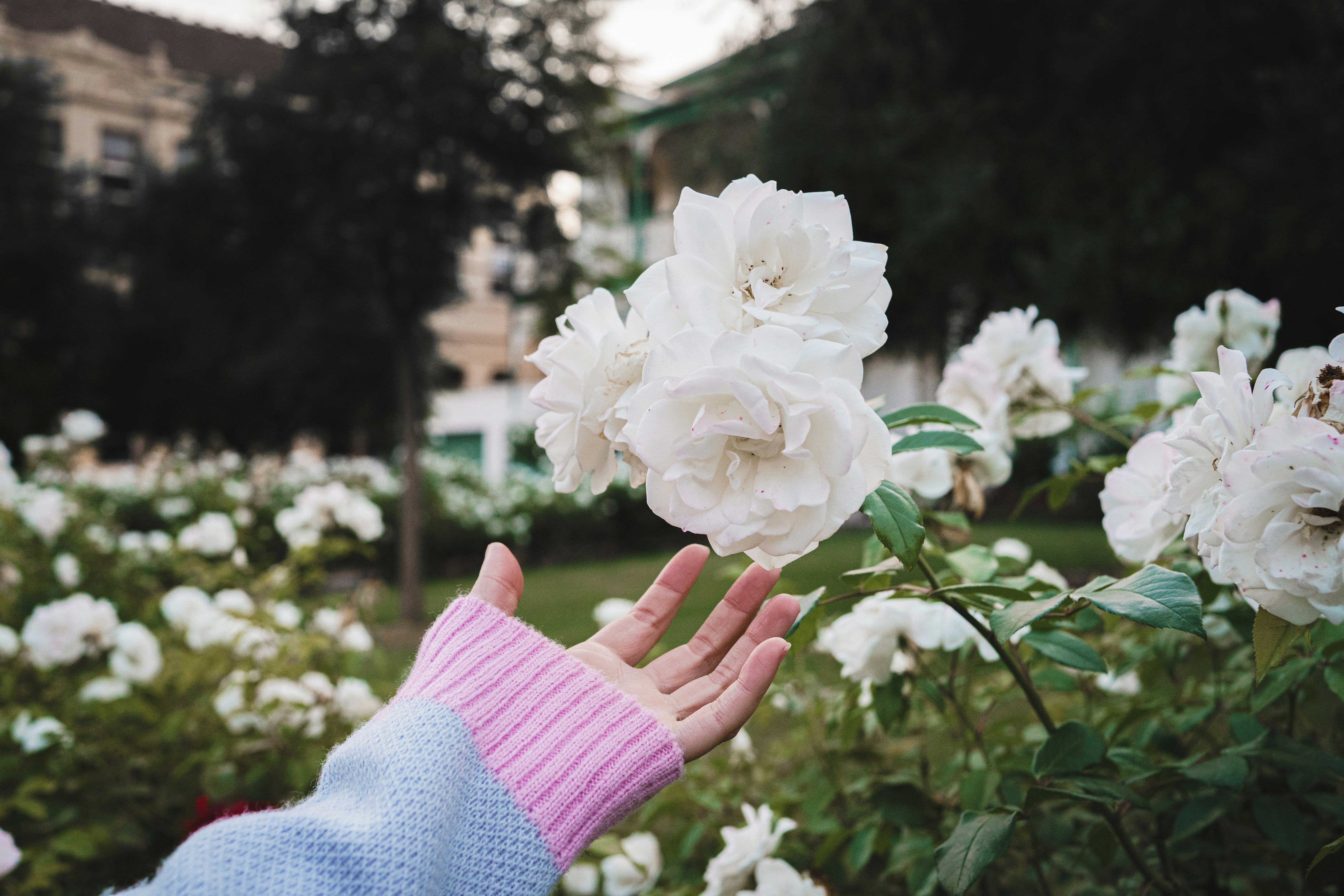 Photo by Kenny Kuo on Unsplash