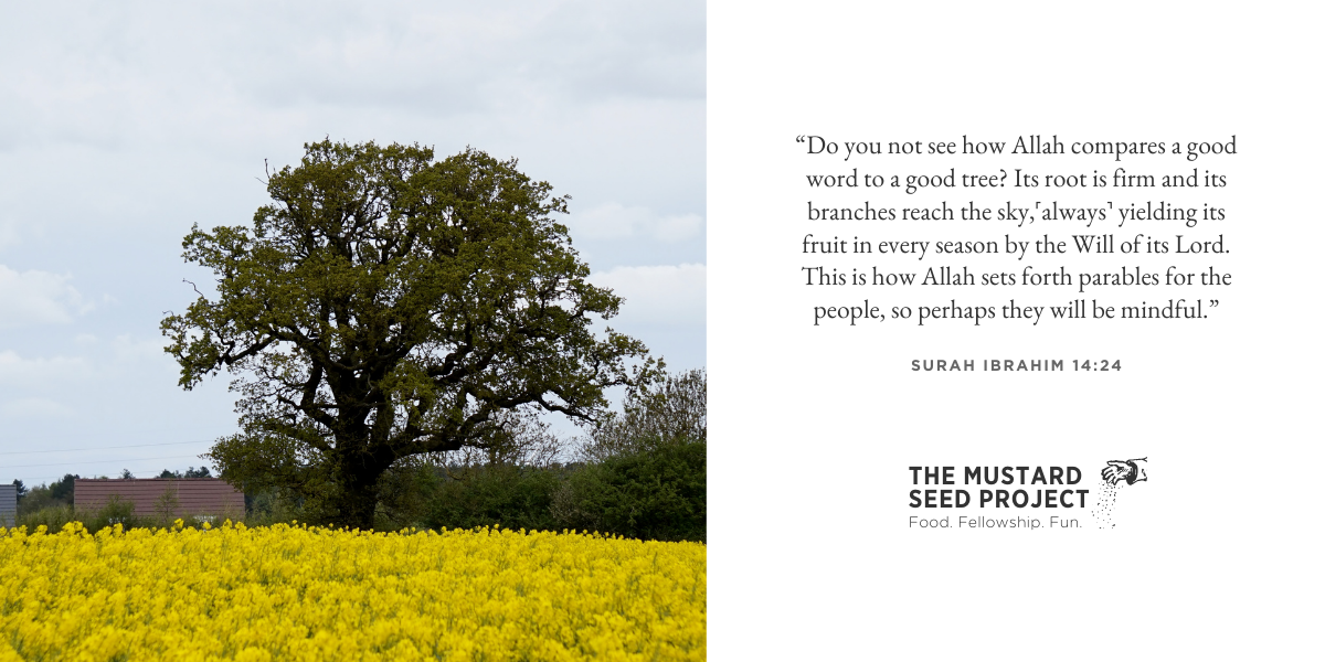 Mustard Seed Tree Roots