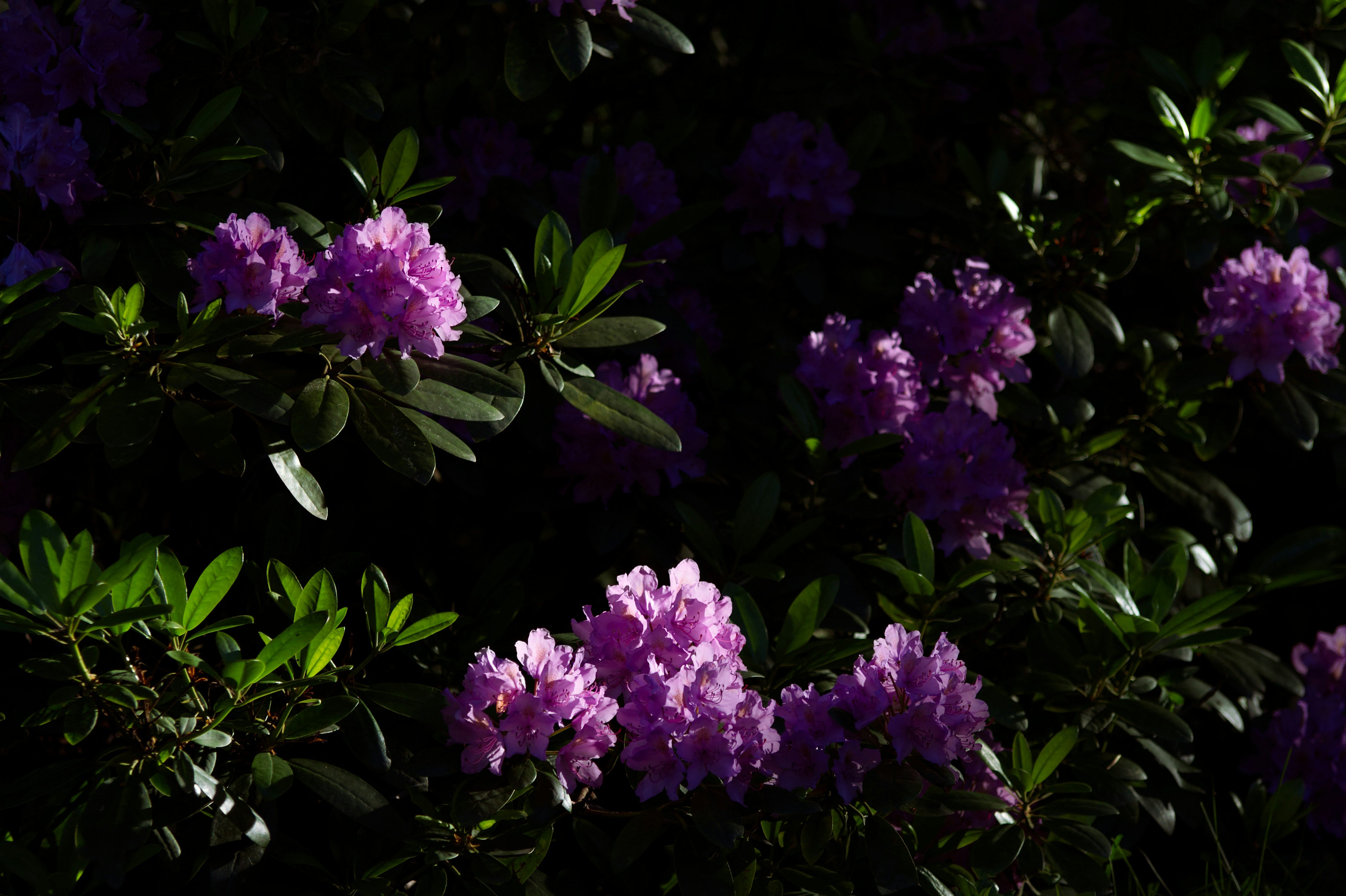 Photo by Risto Kokkonen on Unsplash