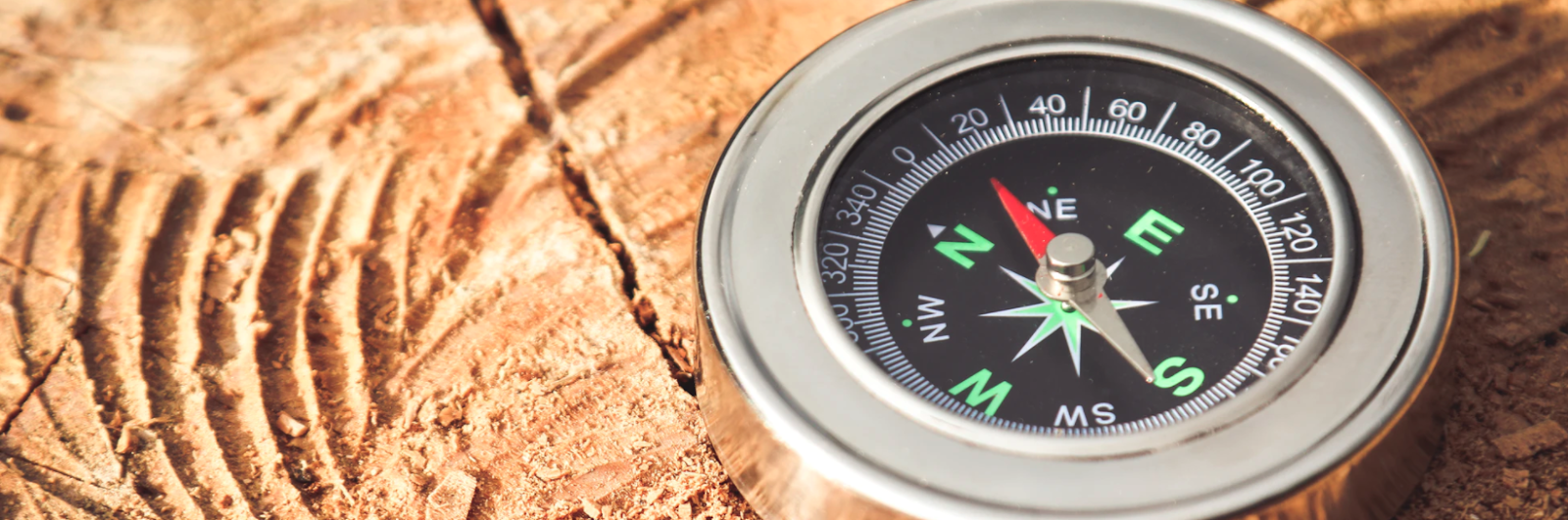 Open Letter: Roadmap Towards a Digital Programmable Euro | by Philipp  Sandner | Medium