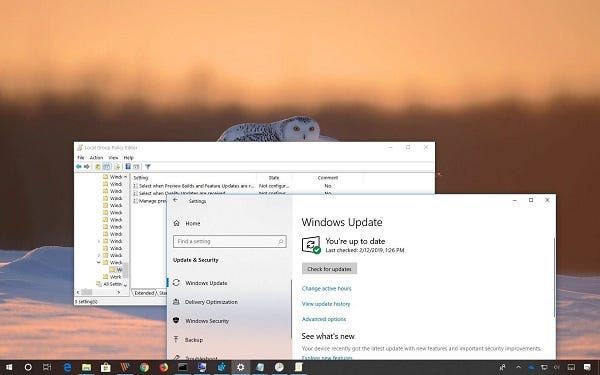 Windows 10   10個　f0916358 How to fix Windows update error 0x80246007 windows 11 or 10