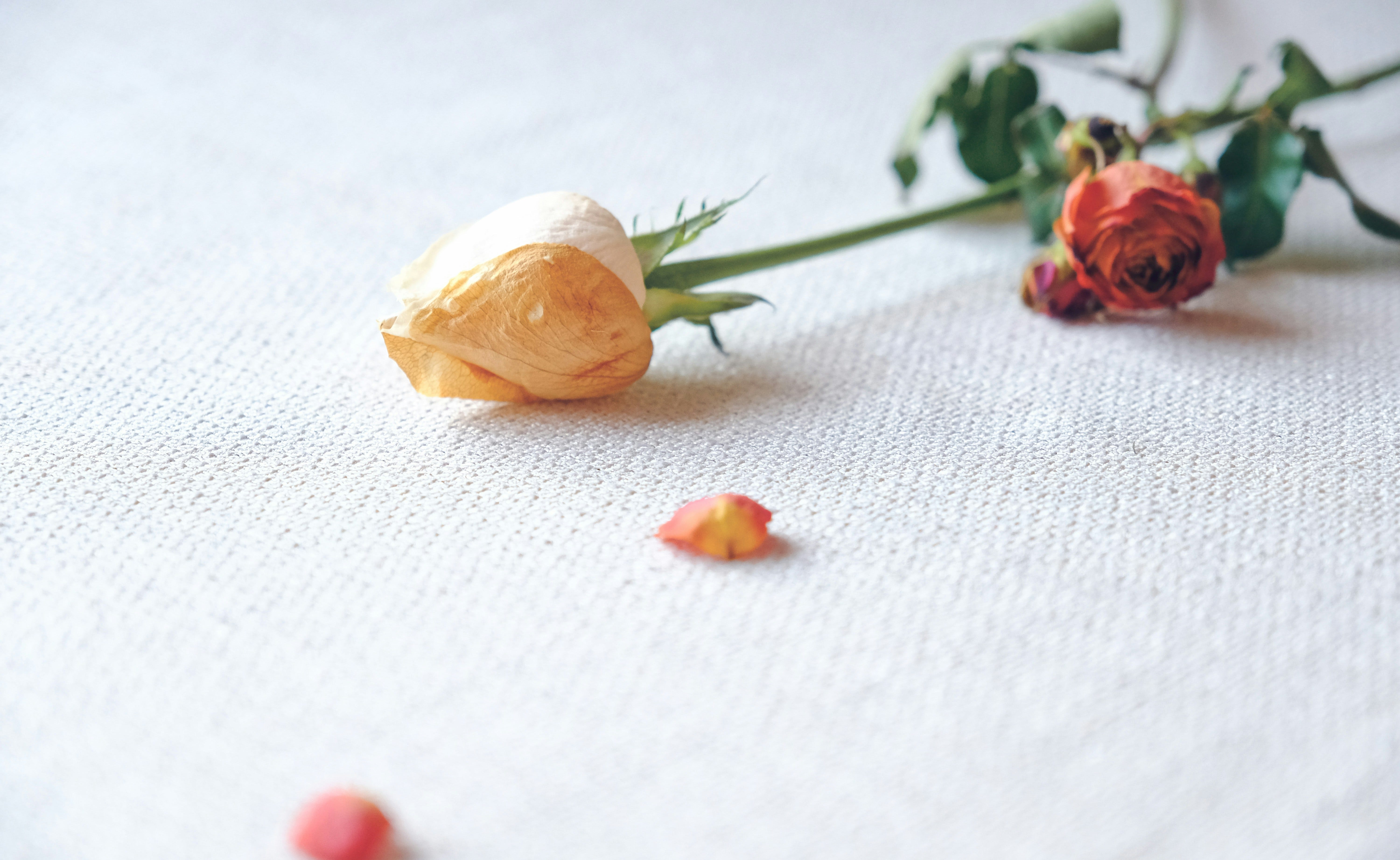 Photo by Jona on Unsplash