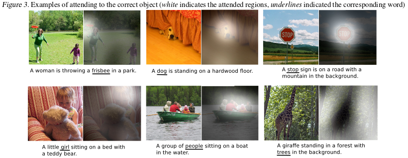 Examples of attending the correct object. (Taken from [11])