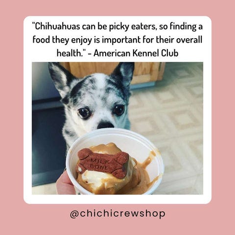 When to Switch to Chihuahua Mix Adult Dog Food: Essential Guide