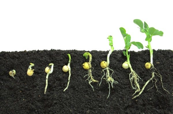 water planting system Automatic Self Watering System Plant Water Drip Irrigation Garden Tool main image 0
