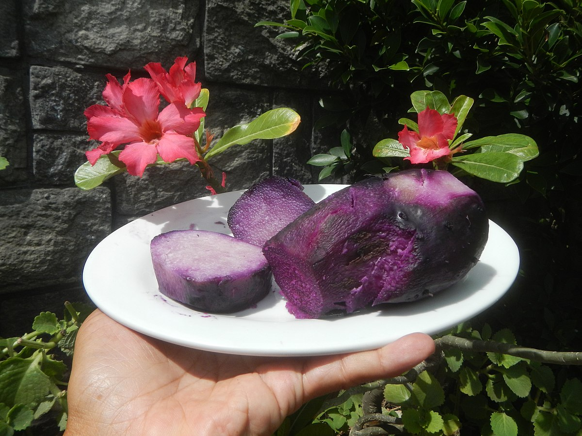 The Global Ube Phenomenon–How the Philippine Local Industry Keeps at Pace  with the Globalisation of the Filipino Staple Sweet. | by Phronesis Archive  | Medium