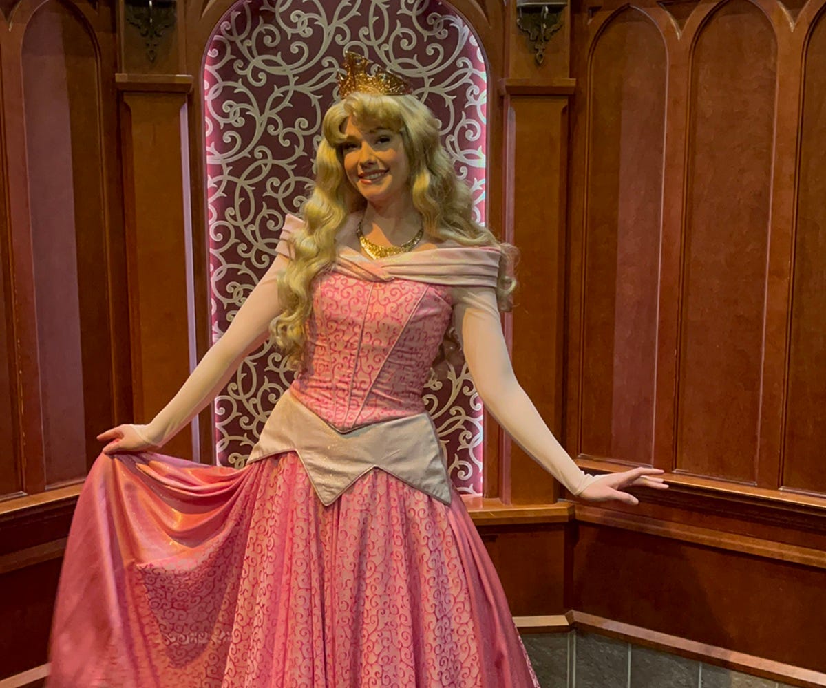 Disneyland Royal Hall: Meet Disney Princesses from your favorite fairytales  | by Disney Mouseketeer | Medium