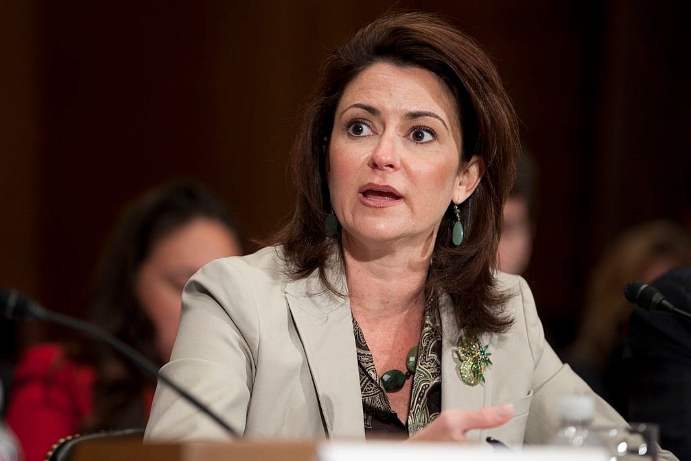 FTX.US Derivatives Welcomes Former CFTC Commissioner Jill Sommers to its  Board | by Crypto Saving Expert | Medium