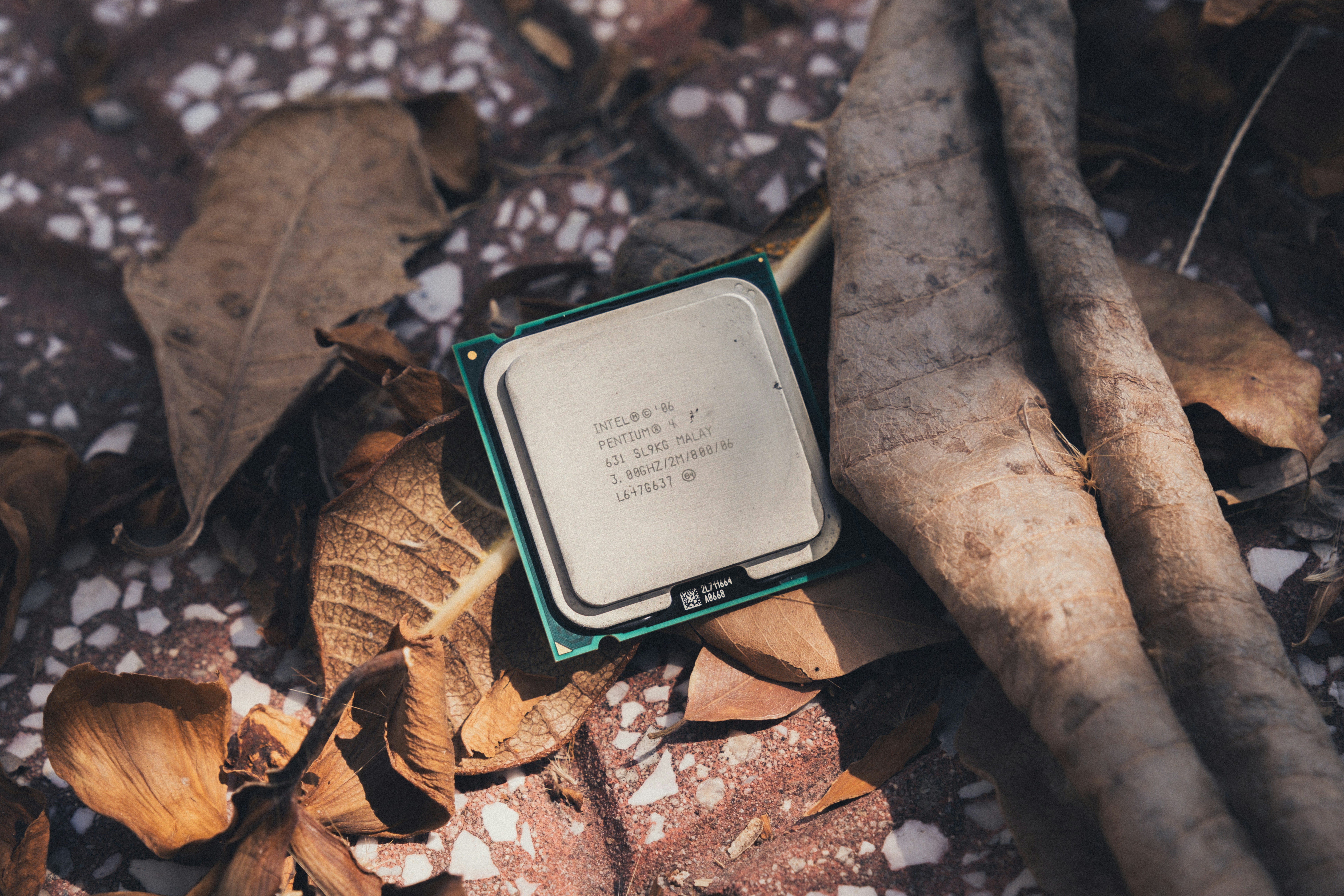 The Critical Role of Compilers in Machine Learning and AI. | by